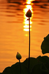 开云体育修改登录密码-强劲对手来袭，球队备战全力迎战