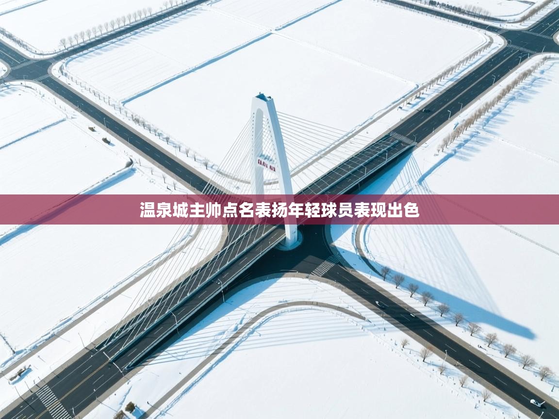 云开体育app官网登录入口-温泉城主帅点名表扬年轻球员表现出色